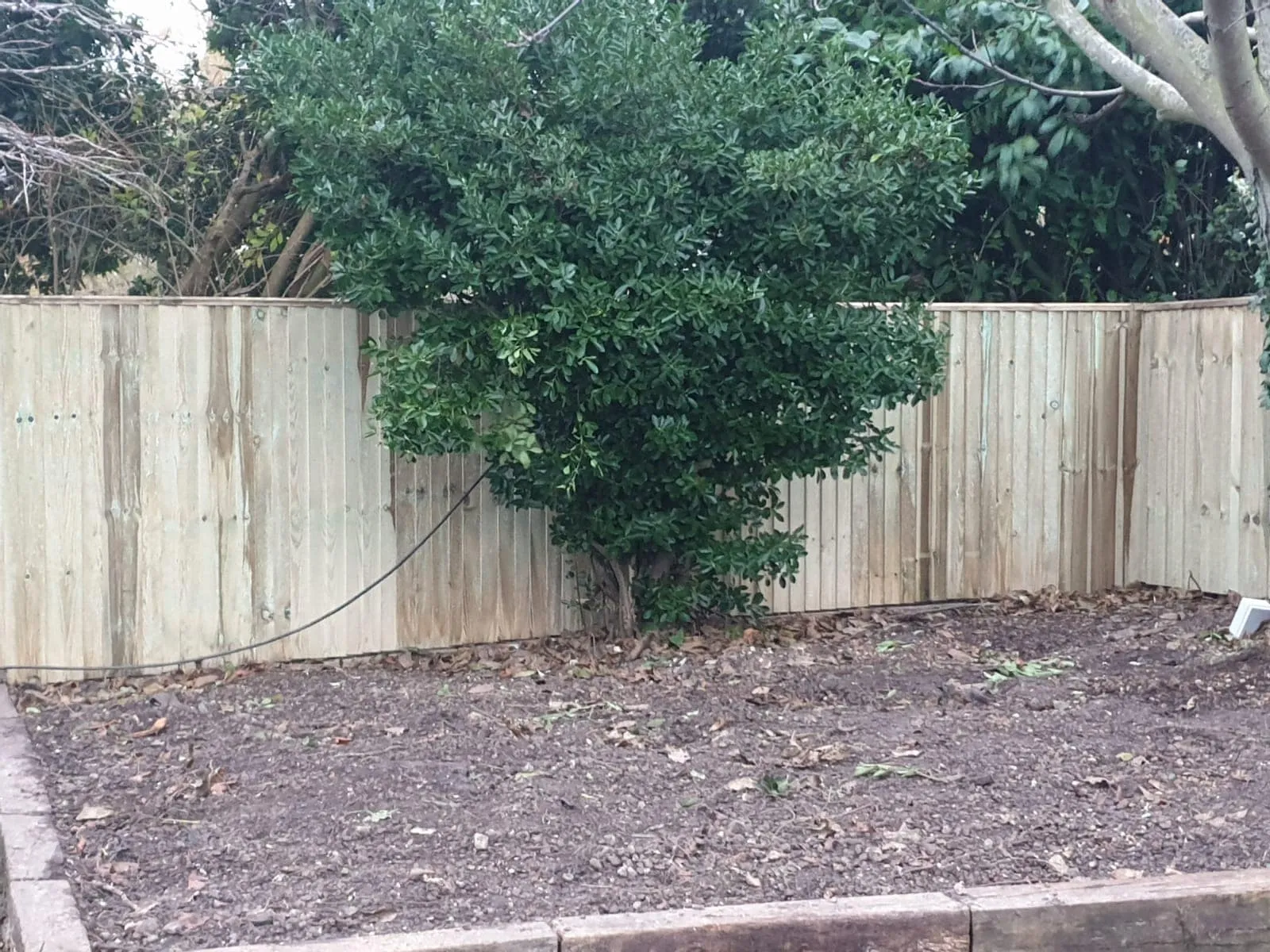 Six-foot wooden panel with trellis fencing installed by Jackson Landscaping